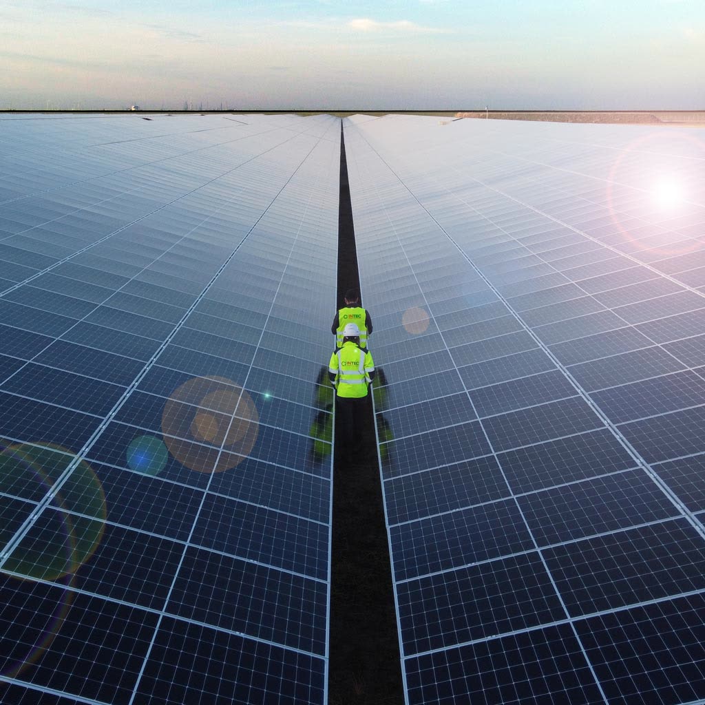 A cleaning robot driving along a row of solar panels at sunrise